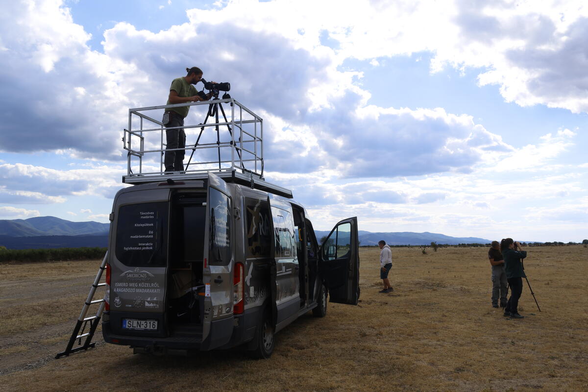 Sharing Experience in Saker Falcon Conservation with Experts from Hungary